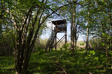 Image showing Hidden bird watching tower