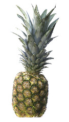 Image showing pineapple