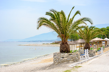 Image showing Sea beach with Palm trees