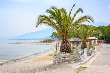 Image showing Beach with Palm trees