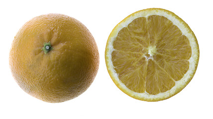 Image showing two oranges