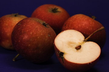 Image showing red apples