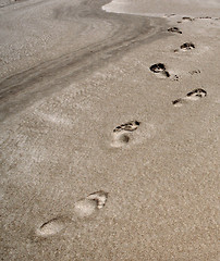 Image showing Footsteps