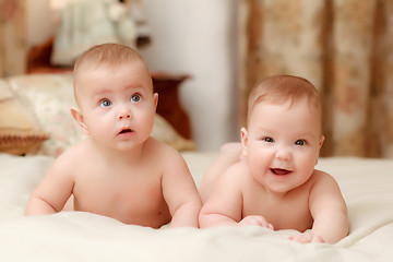 Image showing Two twin babies, girls 