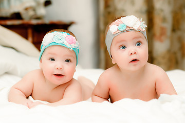 Image showing Two twin babies, girls in nice headbands