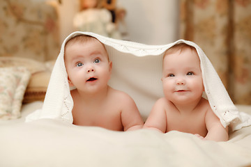 Image showing Two twin babies, girls 