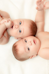 Image showing Two twin babies, girls 