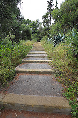 Image showing Walking Path