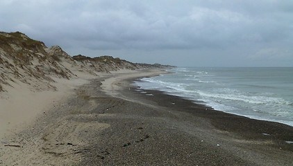 Image showing Coastline