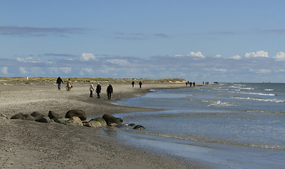 Image showing Coastline