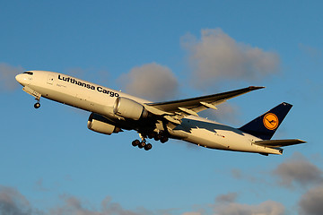 Image showing Lufthansa Cargo - D-ALFD