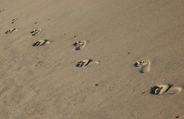 Image showing Foot steps