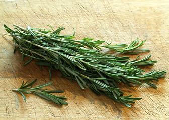 Image showing Rosemary