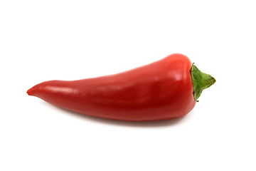 Image showing Small hot red chilli