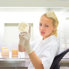 Image showing Scientist observing petri dish.