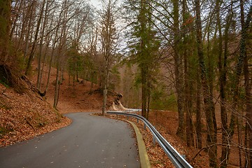 Image showing Road in autumn forest landscape