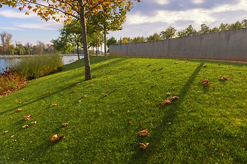 Image showing Green lawn and trees at the park