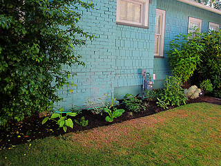 Image showing Home Landscaping