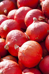 Image showing red roter Hokkaido cucurbita pumpkin pumpkins from autumn harves