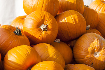 Image showing Halloween big Halloween cucurbita pumpkin pumpkins from autumn h