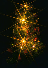 Image showing Christmas Tree