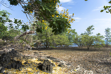 Image showing Koh Mook Coast Line.