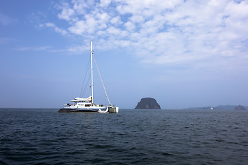 Image showing Sailing Catamaran.