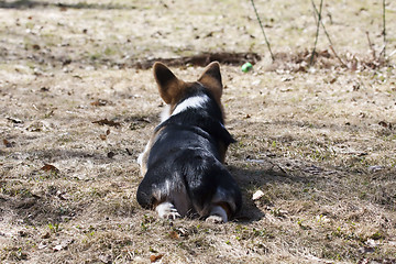 Image showing a moment of contemplation