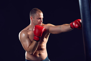 Image showing Young Boxer boxing 