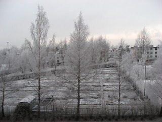 Image showing Winterparselle