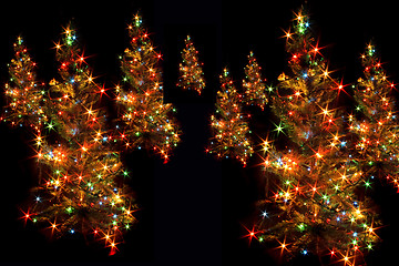 Image showing xmas trees