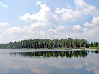 Image showing Forest Reflections