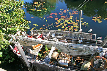 Image showing Wild Boat