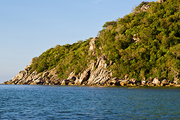 Image showing stone in thailand kho tao bay    south china sea