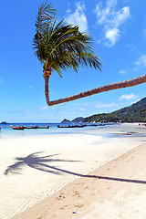 Image showing  in  kho tao thailand bay asia isle   