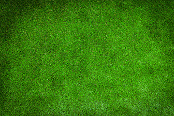 Image showing Green lawn for background