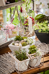 Image showing Garden decoration shabby chic style