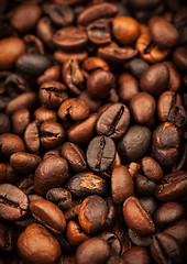 Image showing Roasted coffee beans as background