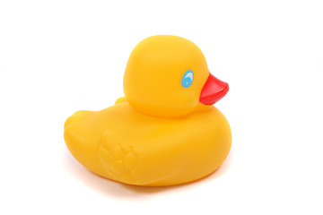 Image showing yelow duck