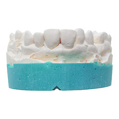 Image showing Positive teeth cast