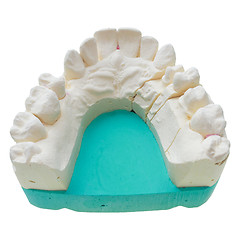 Image showing Positive teeth cast