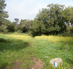 Image showing Spring season landscape