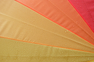 Image showing Umbrella