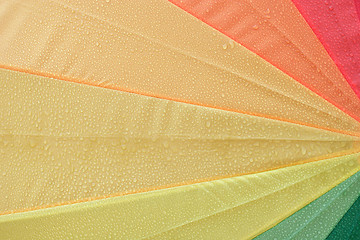 Image showing Umbrella in Detail