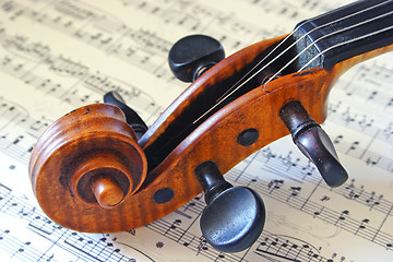 Image showing Violin Head