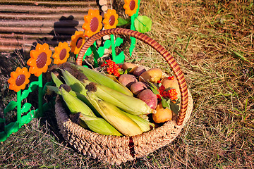 Image showing Harvest vegetables sold at the fair