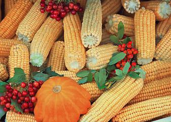 Image showing Harvest vegetables sold at the fair