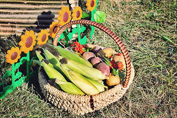 Image showing Harvest vegetables sold at the fair