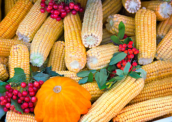 Image showing Harvest vegetables sold at the fair