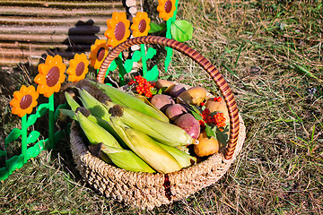 Image showing Harvest vegetables sold at the fair